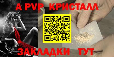 эйфоретик Гай