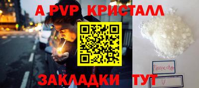 эйфоретик Гай