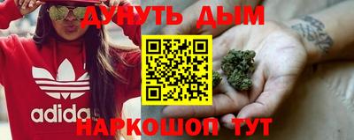 эйфоретик Гай