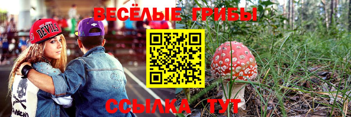 Ноябрьск  Псилоцибиновые грибы MAGIC MUSHROOMS  Вход с VPN 
