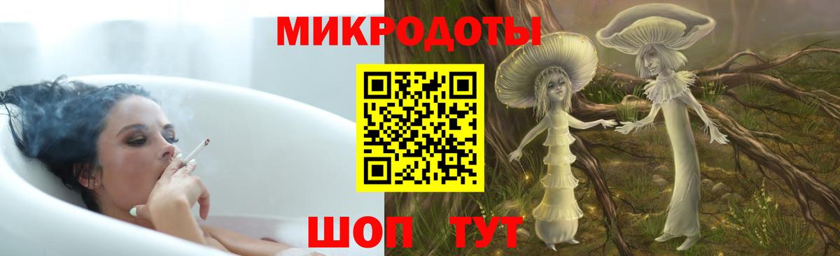 Псилоцибиновые грибы мицелий Ноябрьск